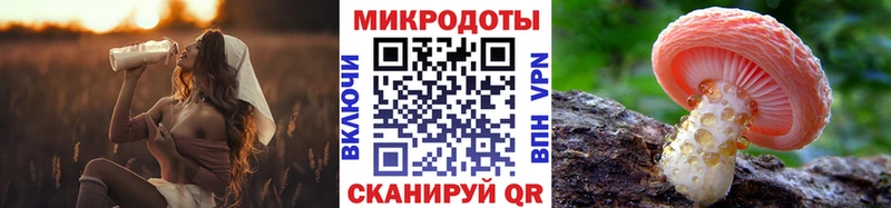цена   Обнинск  Галлюциногенные грибы GOLDEN TEACHER 