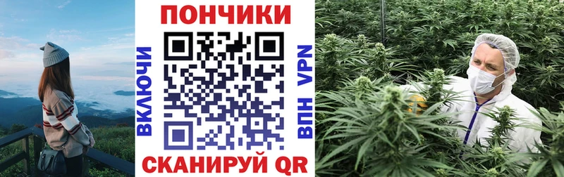 Шишки марихуана планчик Обнинск